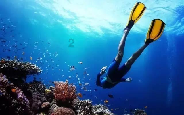 海北州村集体经济收入突破亿元大关